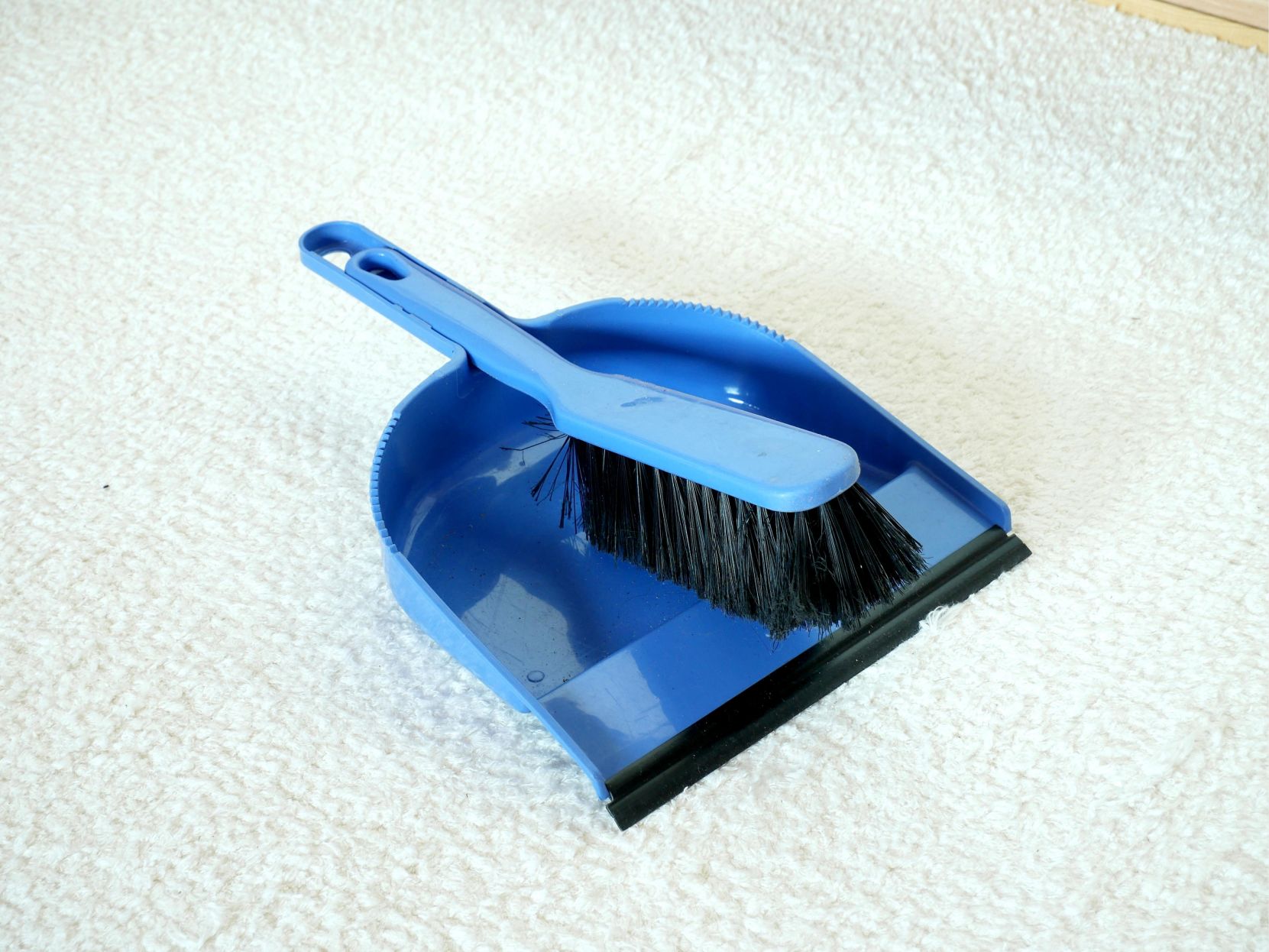 Plastic-free dustpan